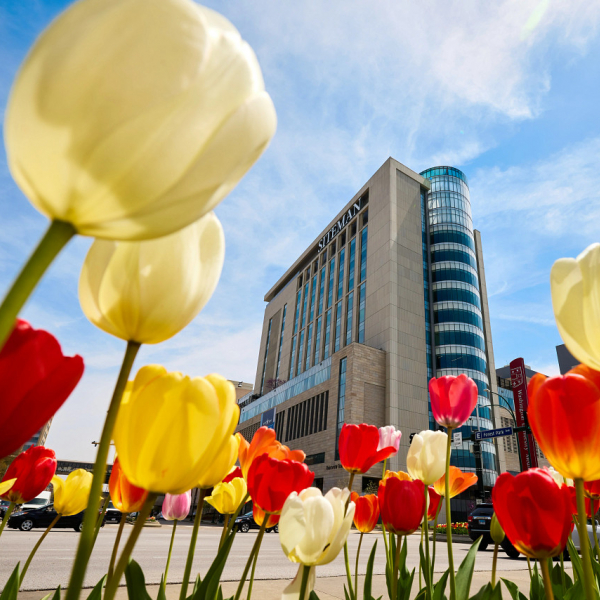 The MedFrench Advantage: Interning at WashU Med School