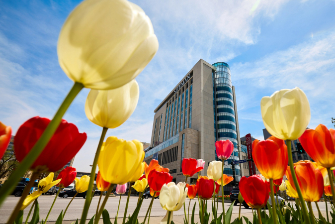 The MedFrench Advantage: Interning at WashU Med School