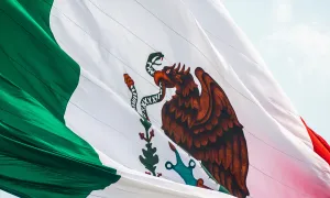 Mexican Flag