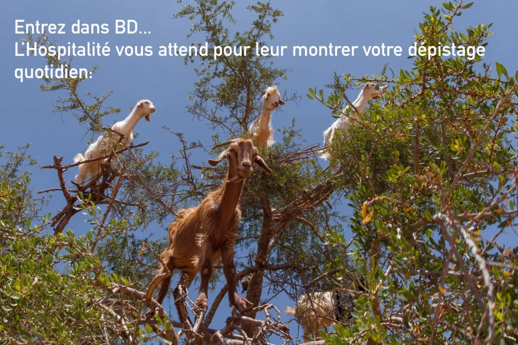 Francophone Week Meme Contest Winner